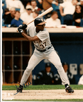AUTOGRAPHED  photo DEVI CRUZ Detroit Tigers