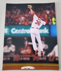 Autographed ALEDMYS DIAZ 11x14 St. Louis Cardinals Photo