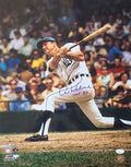 Autographed Al Kaline "HOF 80" Detroit Tigers 16x20  photo JSA