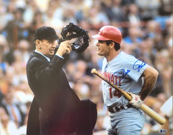 Autographed 16x20 Pete Rose Cincinnati Reds photo - BECKETT