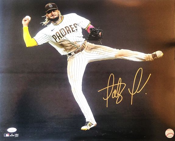 Autographed FERNANDO TATIS JR San Diego Padres 16x20 photo JSA