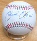 Autographed CHARLIE O'BRIEN Official Major League Baseball