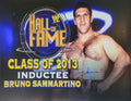 Autographed Bruno Sammartino WWF 16x20  photo