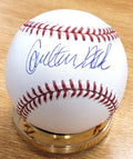 Autographed CARLTON FISK Official Rawlings Major League Baseball