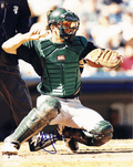 AUTOGRAPHED SIGNED photo AJ HINCH Oakland A's