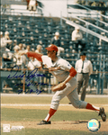 AUTOGRAPHED DICK BOSMAN 8x10 Washington Senators Photo