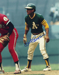 AUTOGRAPHED SIGNED photo BERT CAMPANERIS #2 Oakland A's