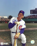 AUTOGRAPHED JOHNNY CALLISON 8x10 Chicago Cubs photo