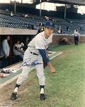 AUTOGRAPHED BUZZ CAPRA 8x10 New York Mets photo