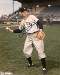 AUTOGRAPHED AL DARK 8x10 New York Giants Photo