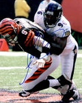 Autographed ADALIUS THOMAS   8X10 Baltimore Ravens Photo