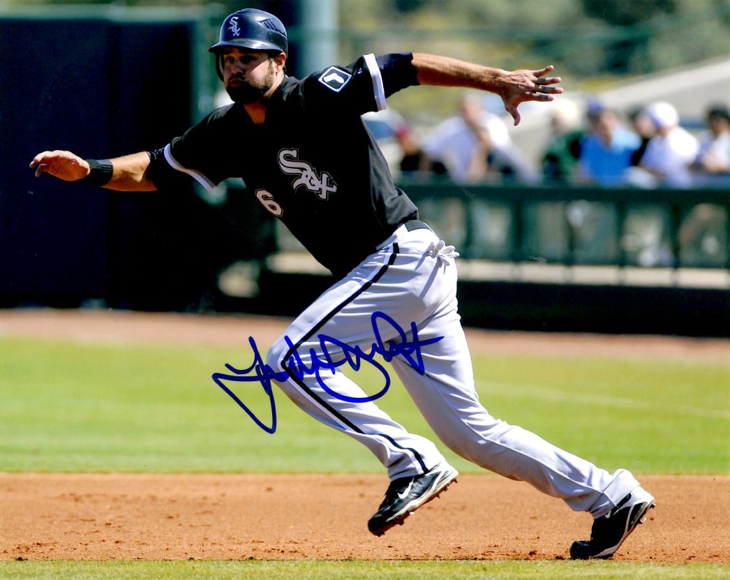 AUTOGRAPHED JORDAN DANKS 8X10 photo  Chicago White Sox