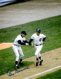 AUTOGRAPHED ALEX GRAMMAS 8X10 photo Detroit Tigers