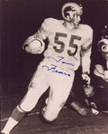 AUTOGRAPHED TOM FEARS 8x10 Los Angeles Rams Photo