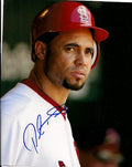 AUTOGRAPHED PEDRO FELIZ 8x10 St. Louis Cardinals photo