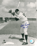 AUTOGRAPHED  photo MIKE FERRARO New York Yankees