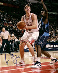 Autographed  AARON GRAY Chicago Bulls Photo