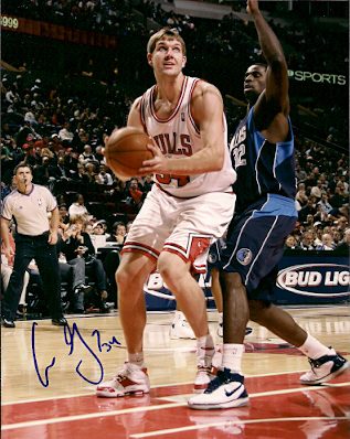 Autographed  AARON GRAY Chicago Bulls Photo