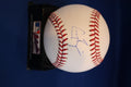 Greg Bird Yankees Autographed Official Major League Baseball - MLB Hologram