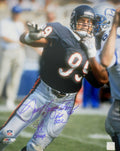 Autographed 16x20 Dan Hampton Chicago Bears photo