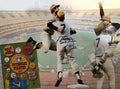 Autographed Steve Blass and Bob Robertson Pittsburgh Pirates 11x14 Photo