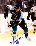 Autographed ALEXANDER KOROLYUK San Jose Sharks photo