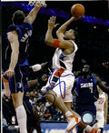 Autographed SEAN MAY Charlotte Bobcats Photo