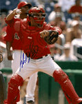 Autographed WIL NIEVES 8x10 Washington Nationals Photo