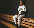 AUTOGRAPHED AL PEDRIQUE 8X10 Oakland A's Photo
