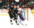 Autographed DALLAS DRAKE  Phoenix Coyotes Photo
