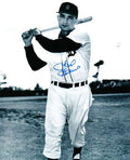 AUTOGRAPHED 8x10 photo GAIL HARRIS Detroit Tigers