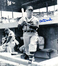 AUTOGRAPHED AL DARK BOSTON 8X10 Boston Braves photo