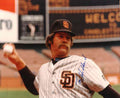 AUTOGRAPHED TIM STODDARD  SD Padres photo