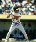 AUTOGRAPHED STEVE SAX 8x10 Oakland A's Photo