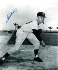 AUTOGRAPHED TOM METCALF photo  New York Yankees