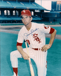 AUTOGRAPHED  photo JIM QUALLS Chicago White Sox