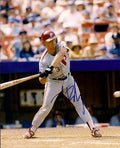 AUTOGRAPHED RANDY READY 8x10 Philadelphia Phillies Photo