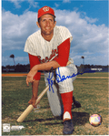 AUTOGRAPHED RON HANSEN 8x10 Washington Senators Photo