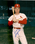 AUTOGRAPHED DICK SCHOFIELD St. Louis Cardinals photo