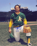 AUTOGRAPHED SIGNED photo  SAL BANDO #5 Oakland A's