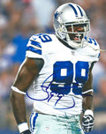 Autographed George Selvie  8x10 Dallas Cowboys Photo