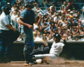 AUTOGRAPHED SANDY ALOMAR SR 8x10  New York Yankees Photo