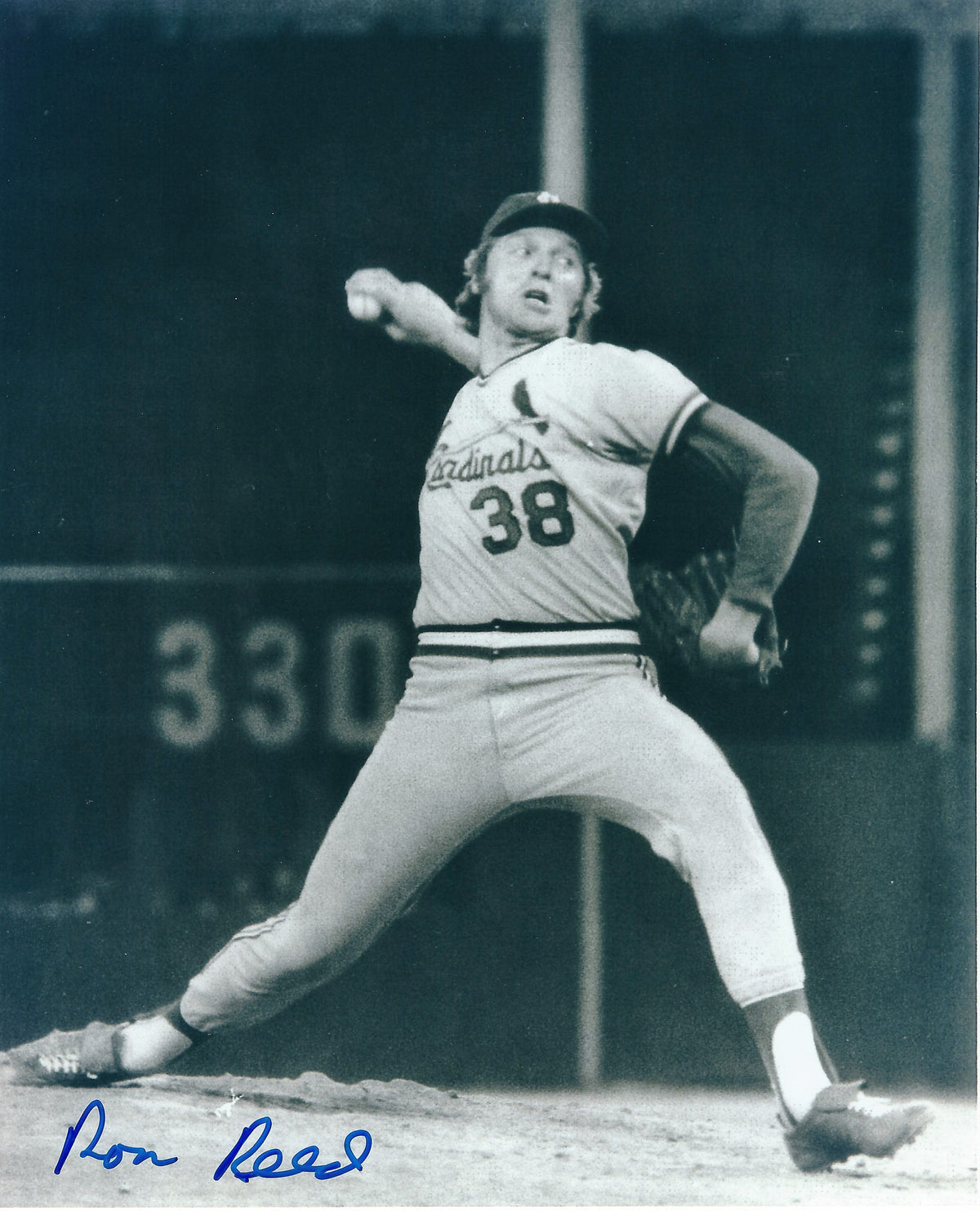 Autographed RON REED St. Louis Cardinals Sox 8x10 Photo - COA