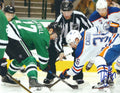 Autographed ADAM CRACKNELL 8X10 Dallas Stars  Photo