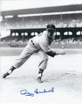 AUTOGRAPHED RAY HERBERT photo  Detroit Tigers