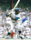 AUTOGRAPHED MANNY MOTA Los Angeles Dodgers photo