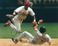 AUTOGRAPHED LUIS ALICEA 8x10 St. Louis Cardinals photo