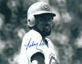 AUTOGRAPHED RODNEY SCOTT 8X10 Chicago Cubs Photo