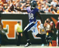 Autographed JEREMY MACLIN 8X10 Baltimore Ravens Photo