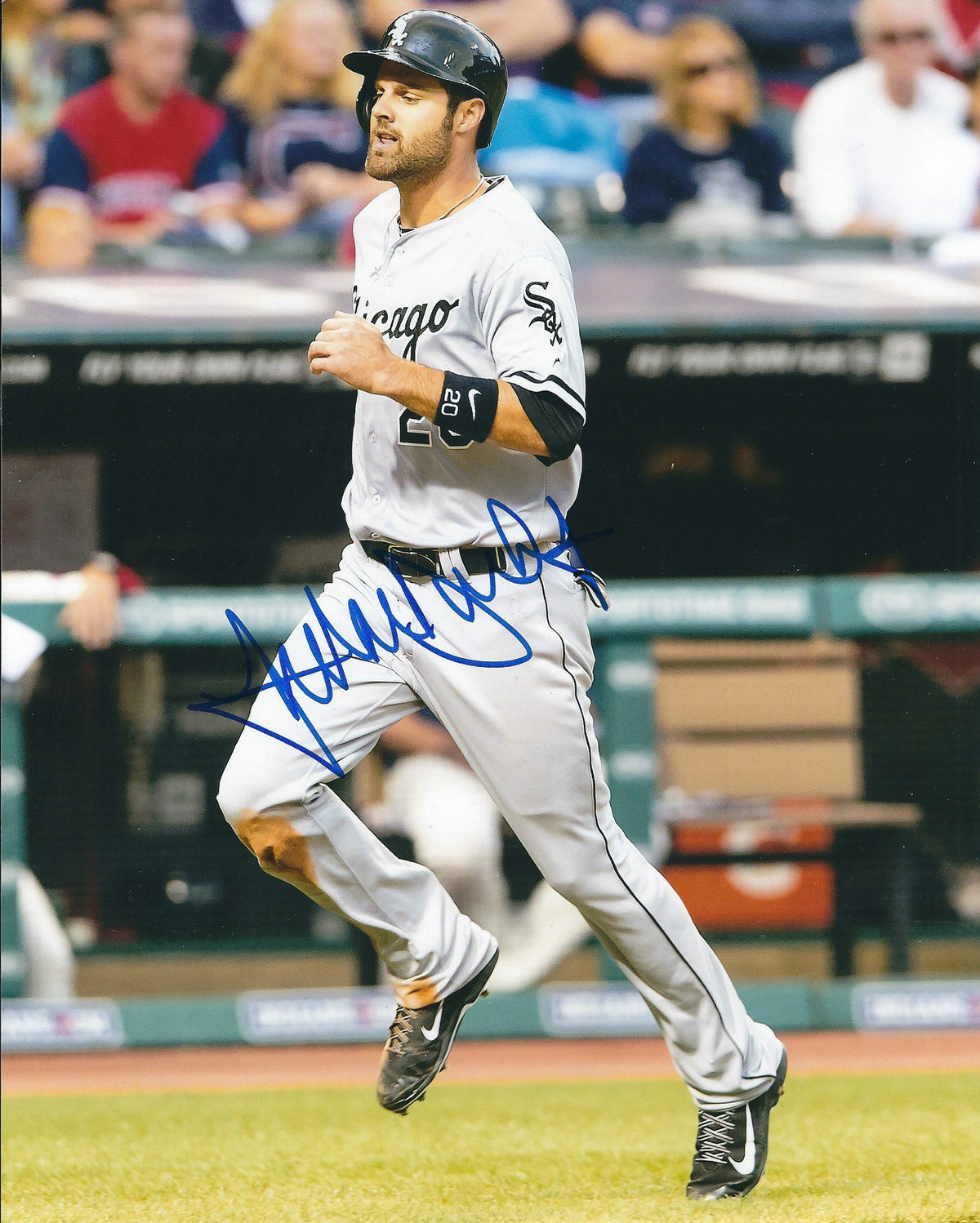 AUTOGRAPHED JORDAN DANKS  8X10 Chicago White Sox Photo